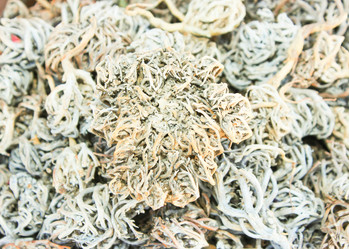 Similar image 7600046