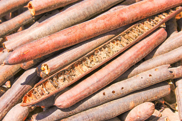 Similar image 7600065