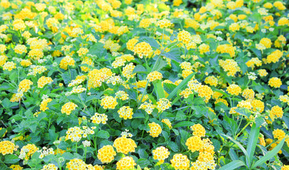 Similar image 7600066