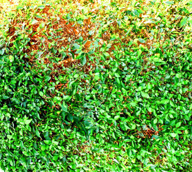 Similar image 7600070