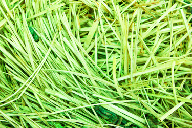 Similar image 7600076