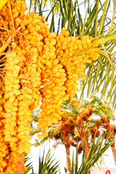 Similar image 7600092