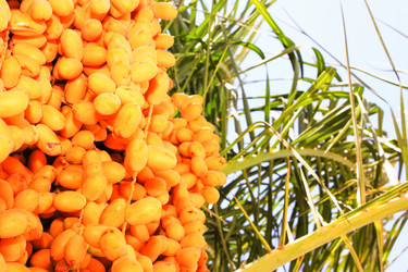 Similar image 7600093