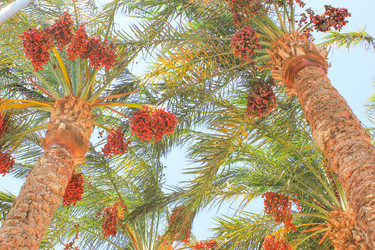 Similar image 7600097