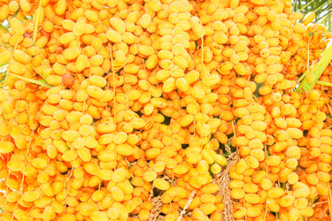 Similar image 7600100