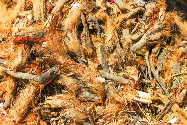 Similar image 7600106