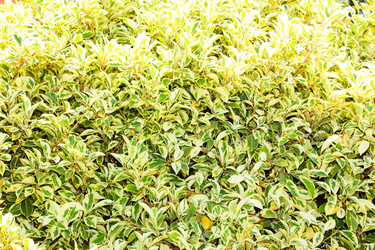 Similar image 7600108