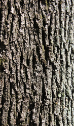 Similar image 7600116