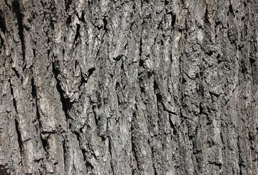 Similar image 7600117