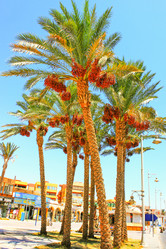 Similar image 7600125