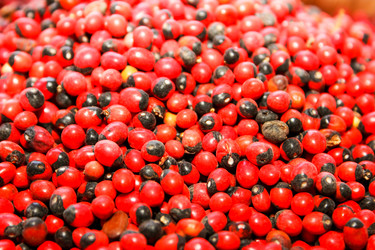 Similar image 7600134