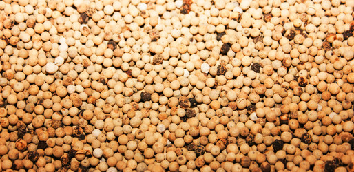 Similar image 7600140