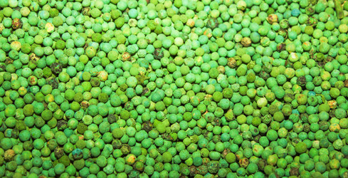 Similar image 7600141