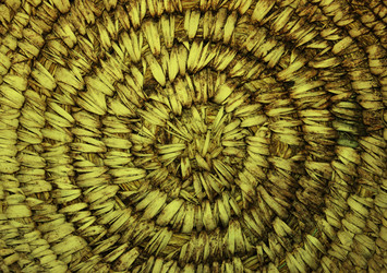 Similar image 7600147