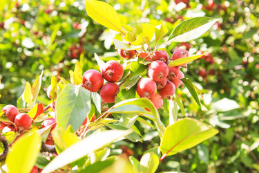 Similar image 7600168