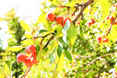 Similar image 7600183