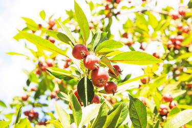 Similar image 7600186