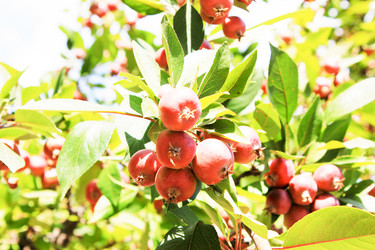 Similar image 7600187