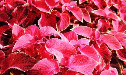 Similar image 7600205