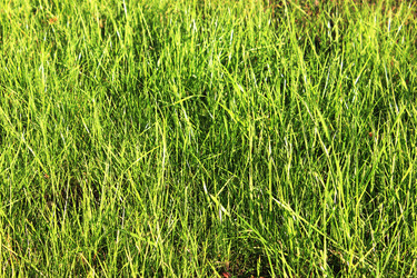 Similar image 7600209