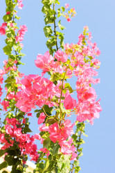 Similar image 7600232