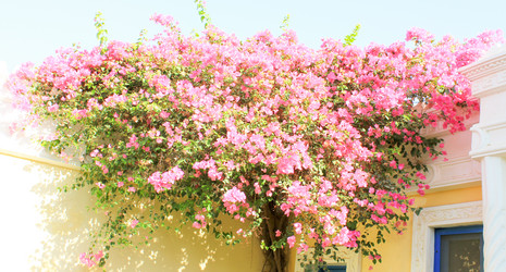 Similar image 7600236