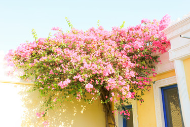 Similar image 7600237