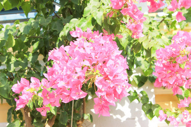 Similar image 7600240