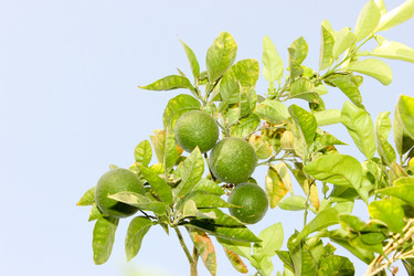 Similar image 7600269