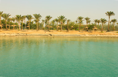 Similar image 7600288