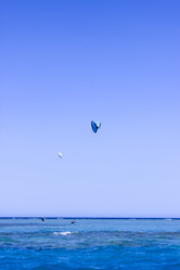 Similar image 7600306