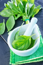 Similar image 7600675