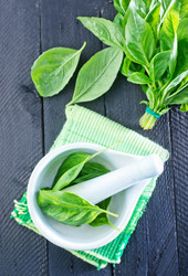 Similar image 7600676