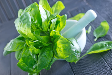 Similar image 7600678