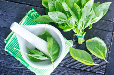 Similar image 7600679