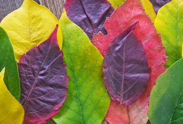 Similar image 7600912