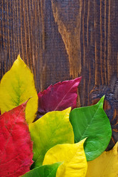 Similar image 7600916