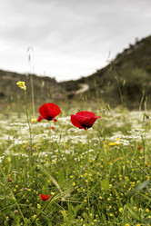 Similar image 7601122