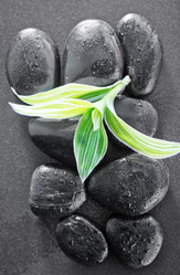 Similar image 7601313