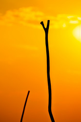 Similar image 7601498