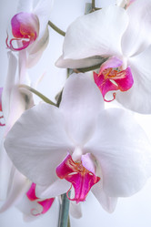 Similar image 7601500