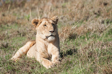 Similar image 7601513