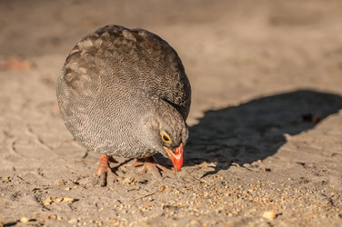 Similar image 7601516