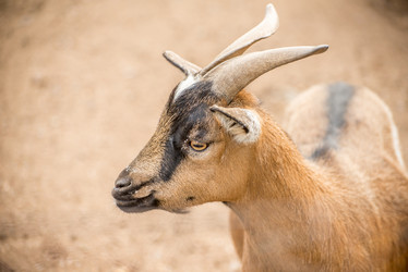 Similar image 7601524