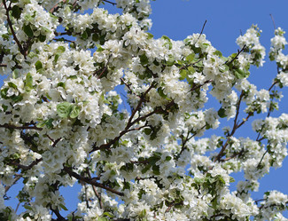 Similar image 7633953