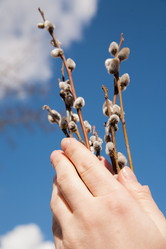 Similar image 7633997