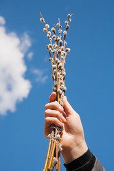 Similar image 7633998