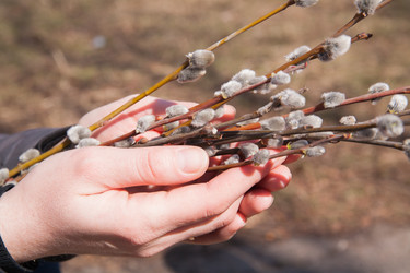 Similar image 7634008