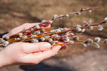 Similar image 7634009