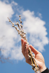 Similar image 7634010